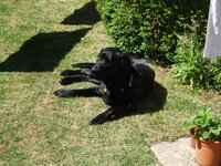 DSCF3096.JPG