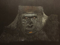 gorilla.jpg