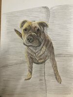 IMG_5321.jpeg