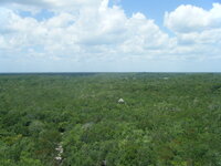 mexico 2008 082.jpg mexico 2008 082.jpg