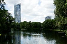 DSC01084-003.jpg