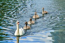 DSC01087-002.jpg