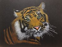 tiger.JPG