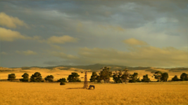 sunset.png