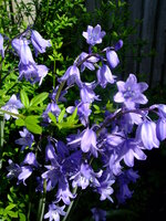 DSCF2423.JPG DSCF2423.JPG