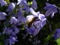 DSCF2441.JPG