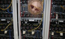 Gary the Server Hamster.jpg
